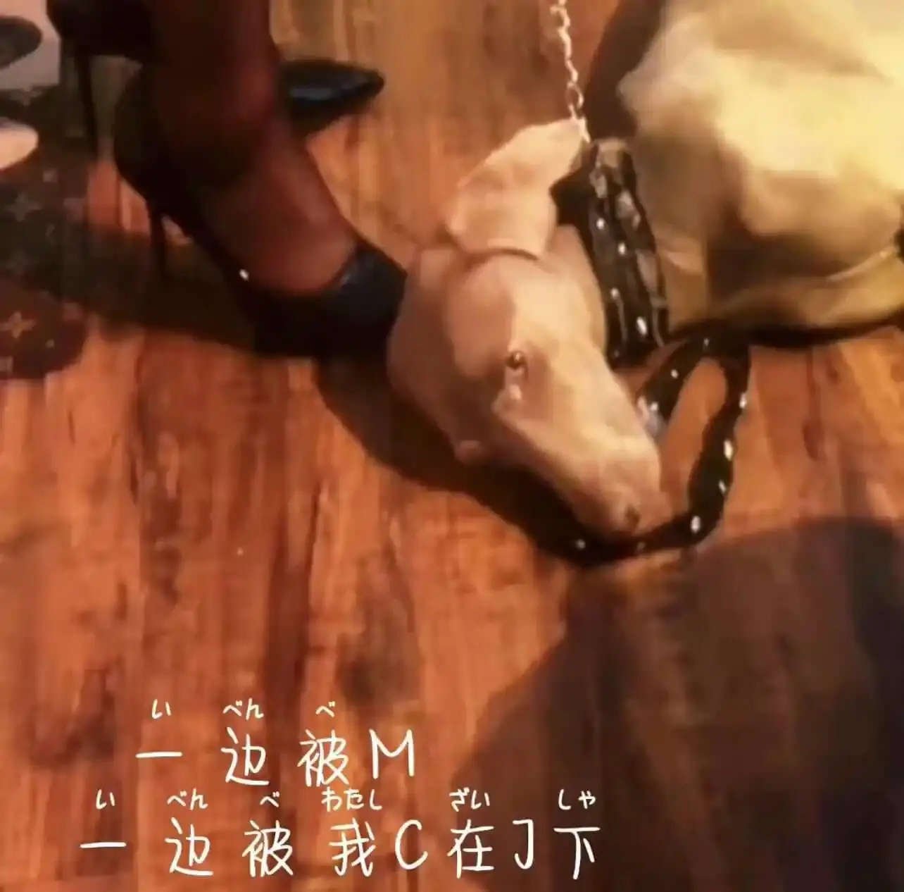 Dirty talk是什么 - 2023_11_07_20_50_IMG_8911