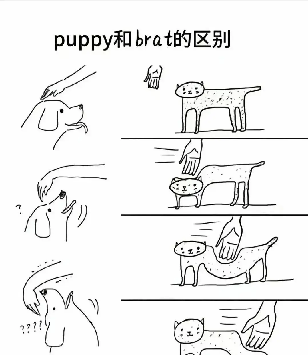 [西檬之家]-BDSM 新人指南：字母圈术语与实践