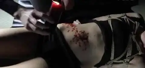 西檬之家-SP实践指南：从新人角度理解BDSM核心术语
