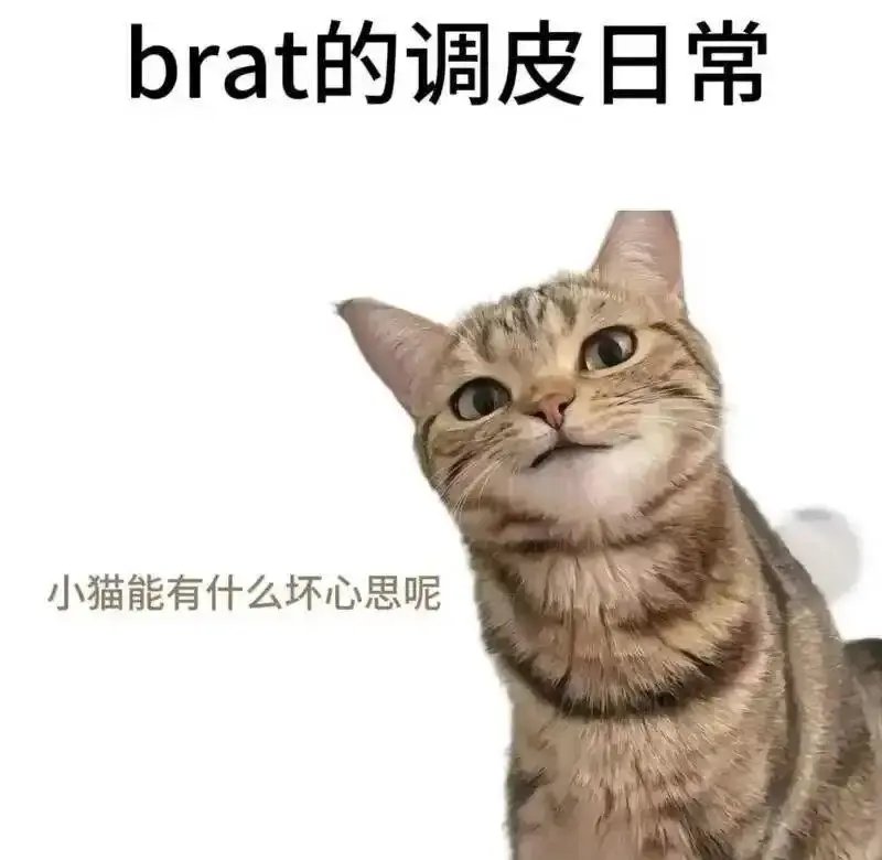 西檬之家-Sub是什么？字母圈新人必读的角色解析