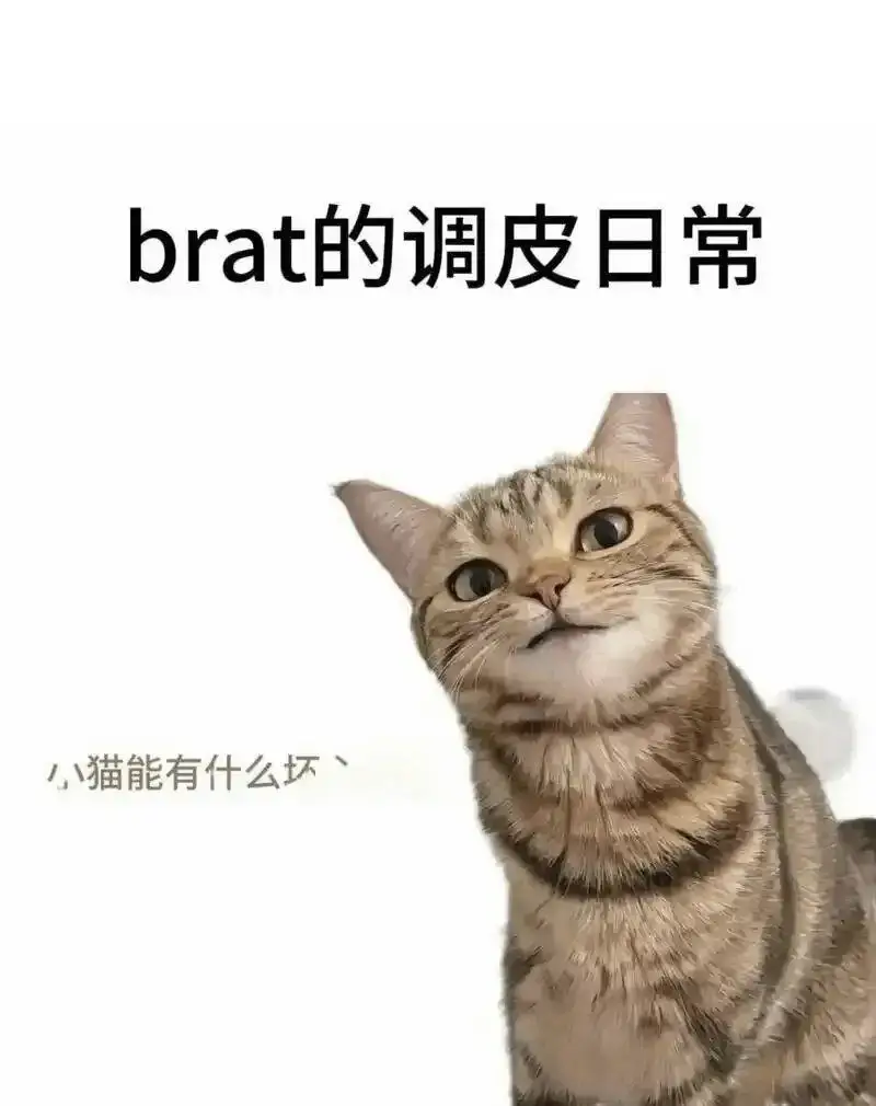 【西檬之家】字母圈TK是什么？2024年BDSM挠痒痒玩法解析