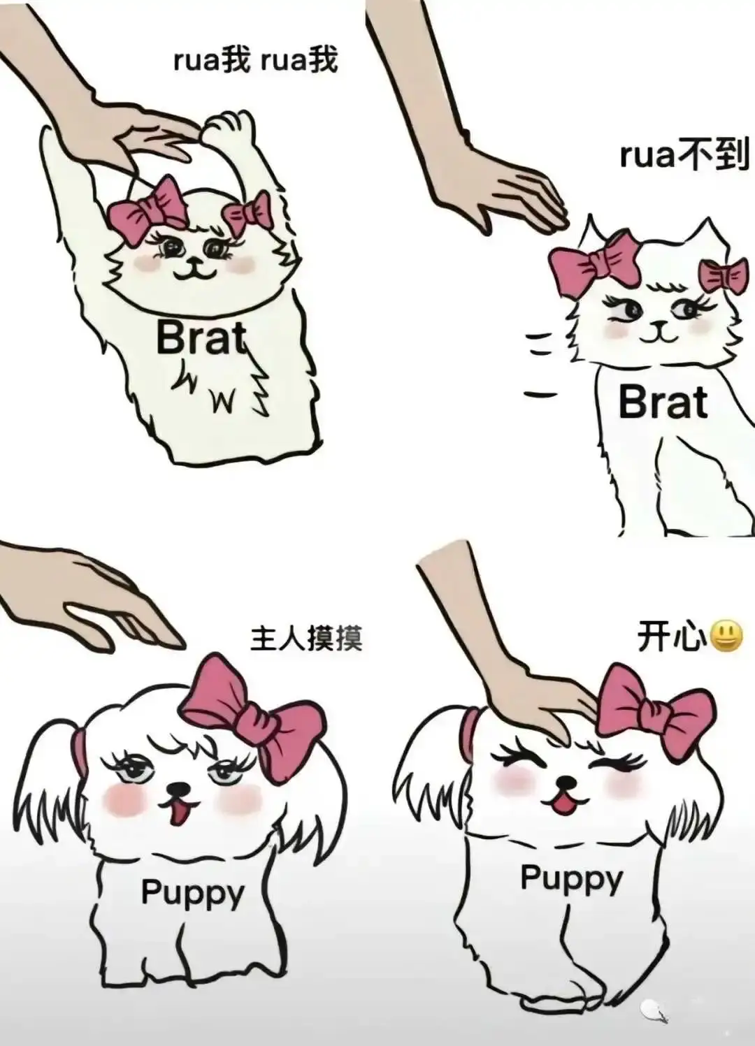 西檬之家-字母圈的DOM是什么意思？