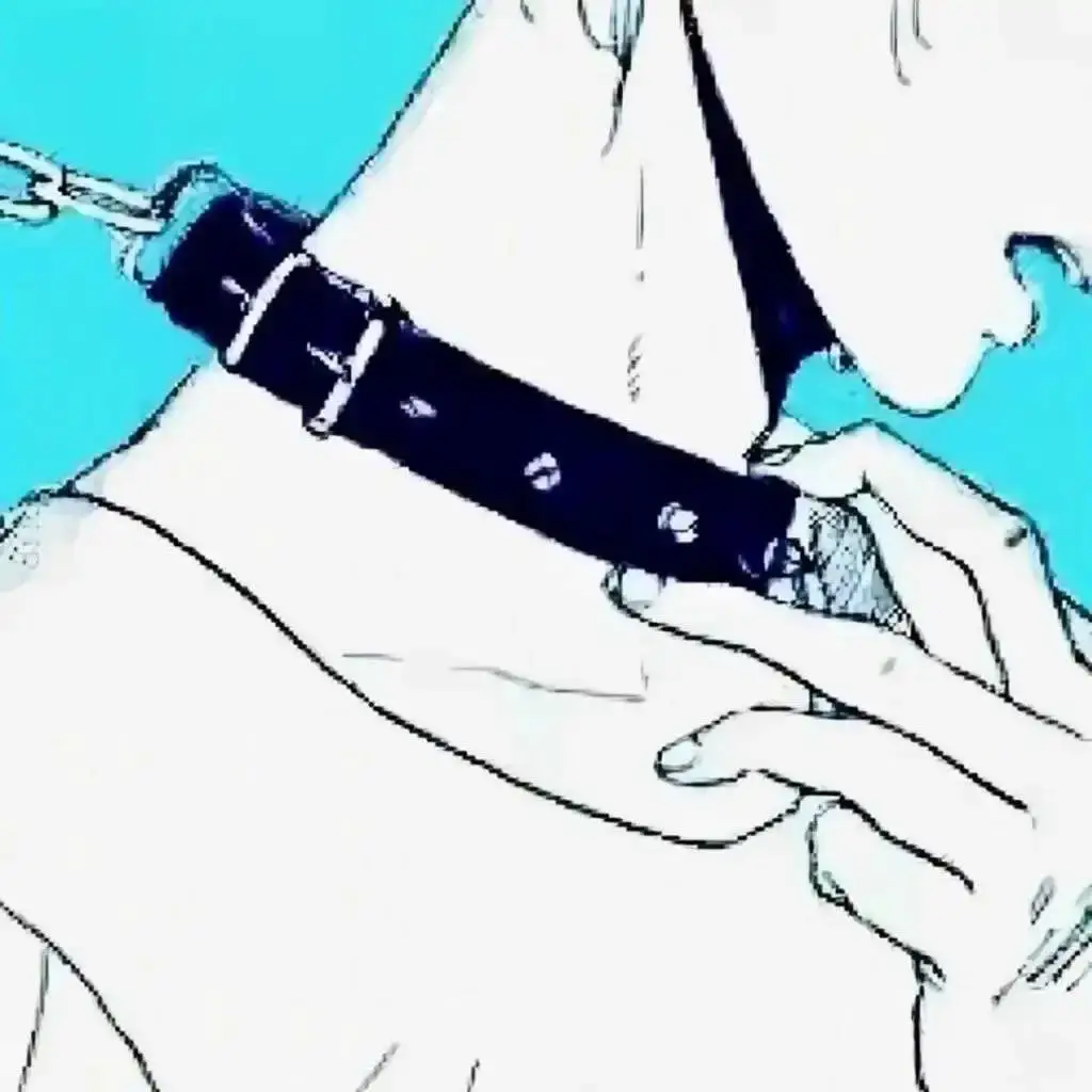 西檬之家-字母圈K9犬系：BDSM新人指南