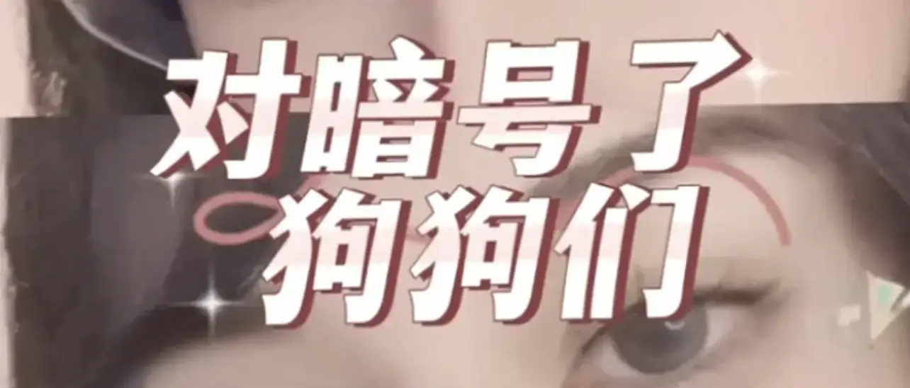 西檬之家-字母圈大圈入门指南