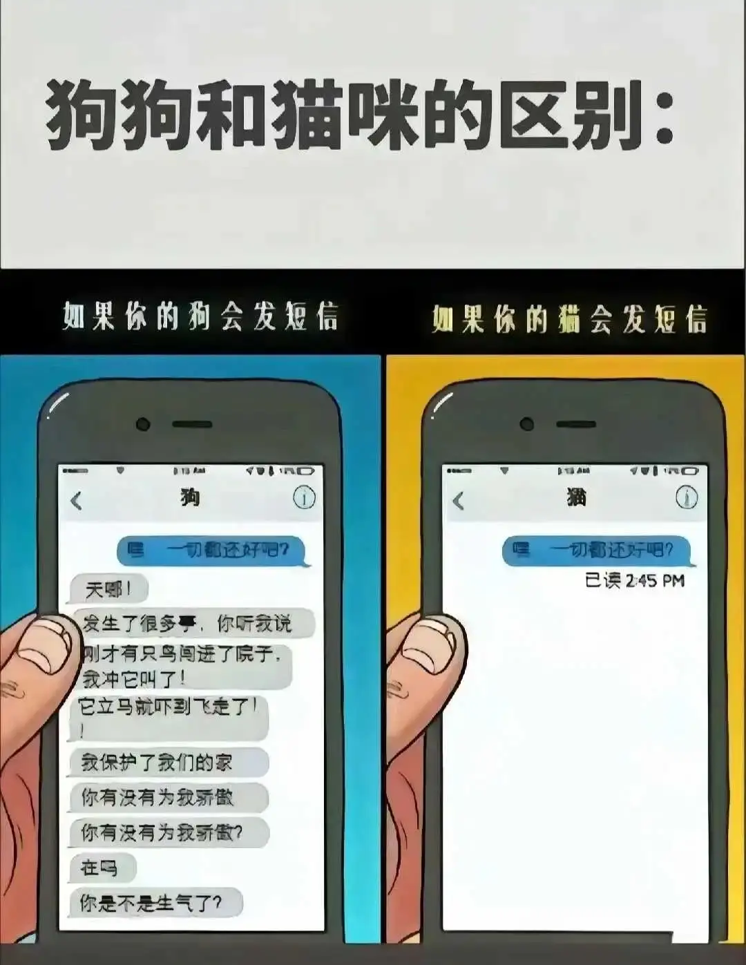 【西檬之家】亚文化术语大解析：字母圈核心术语口语化科普